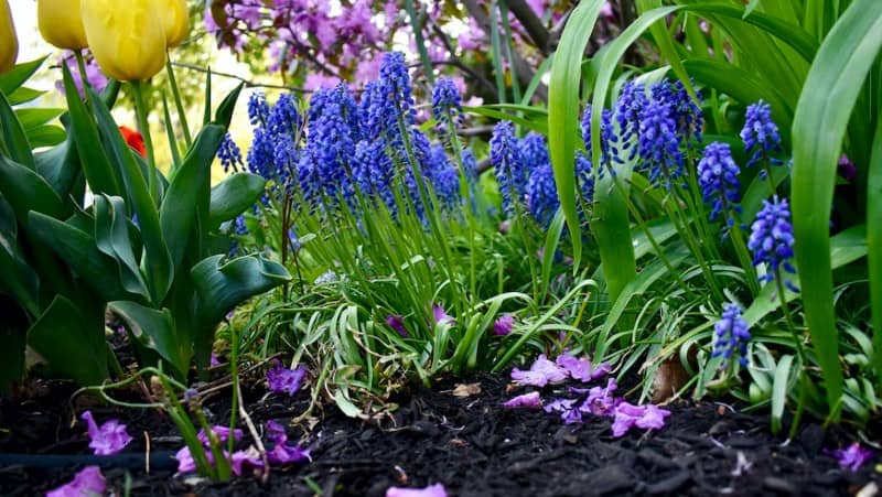 5 Easy Ways to Make Your Yard More Attractive